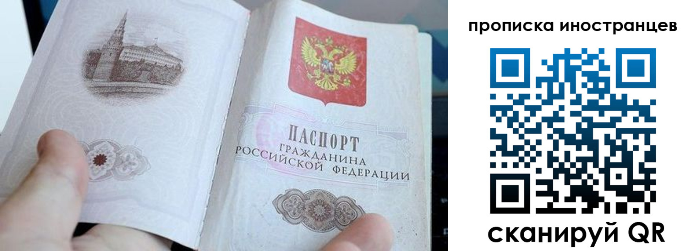 прописка поиск в Рошале